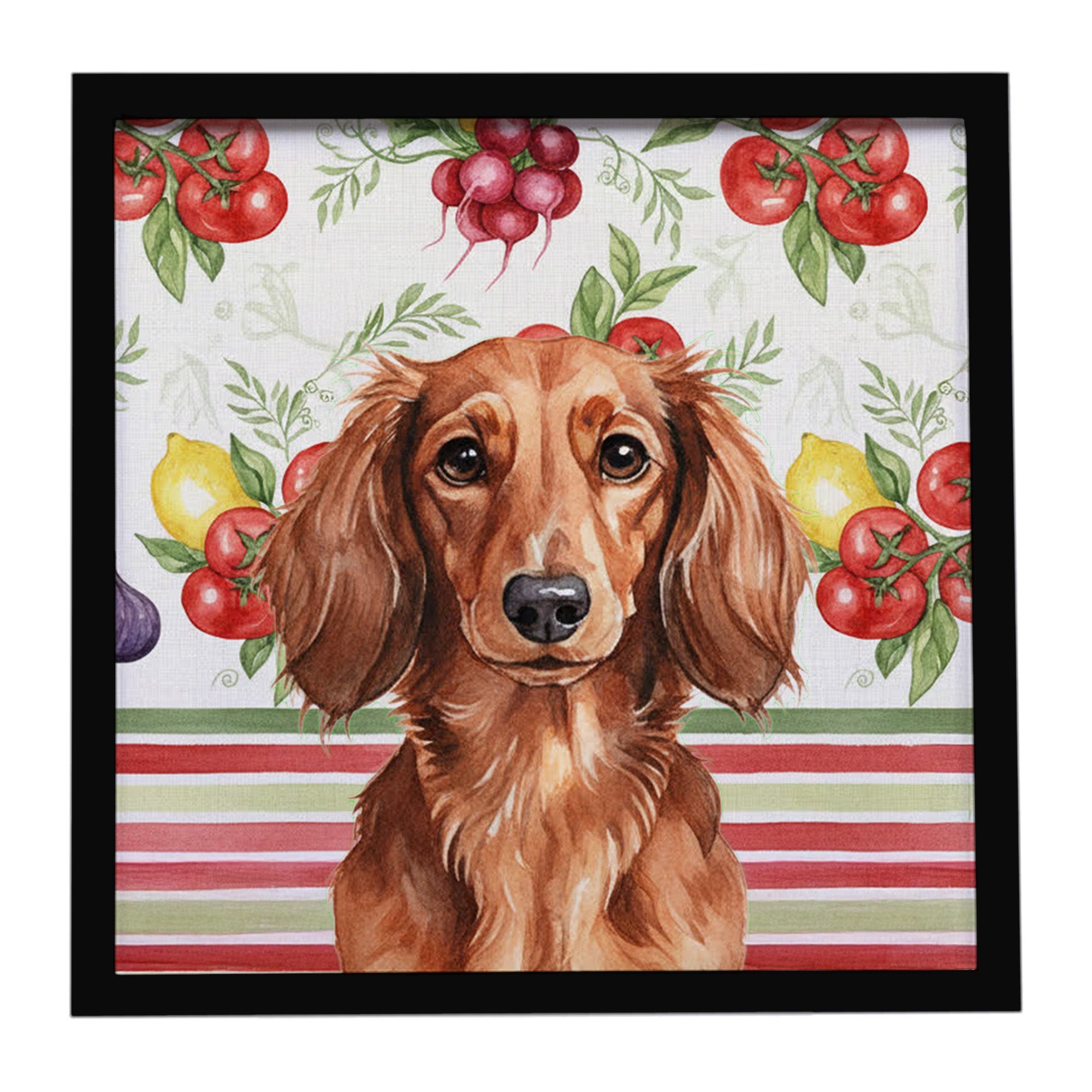 Longhaired Red Dachshund Vegetables Framed Metal Print Bathroom, Kitchen, Office, Home Decor Wall Art Ready to Hang, Square, 8X8