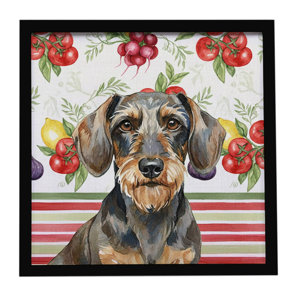 Wirehaired Wild Boar Dachshund Vegetables Framed Metal Print Bathroom, Kitchen, Office, Home Decor Wall Art Ready to Hang, Square, 8X8