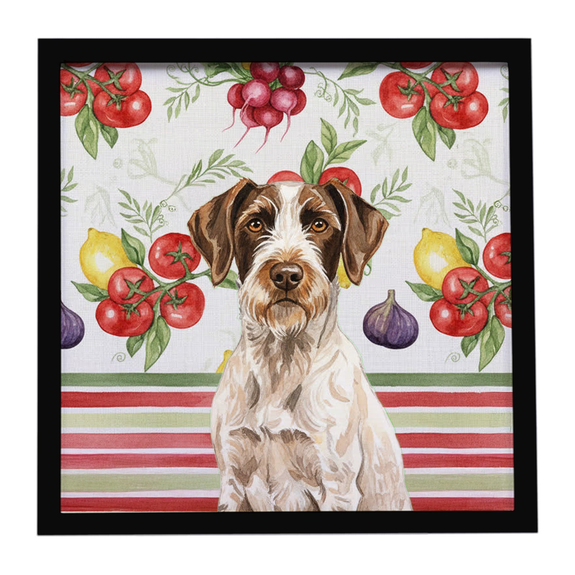 Liver and White German Wirehaired Pointer Vegetables Framed Metal Print Bathroom, Kitchen, Office, Home Decor Wall Art Ready to Hang, Square, 8X8