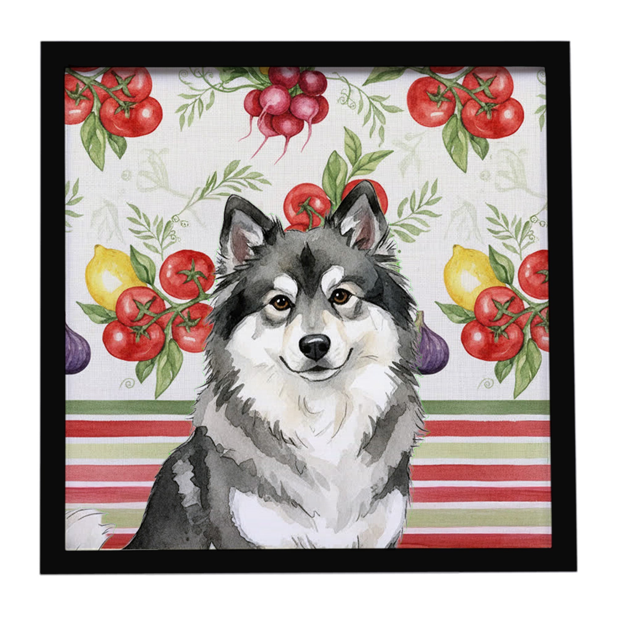 Keeshond Vegetables Framed Metal Print Bathroom, Kitchen, Office, Home Decor Wall Art Ready to Hang, Square, 8X8