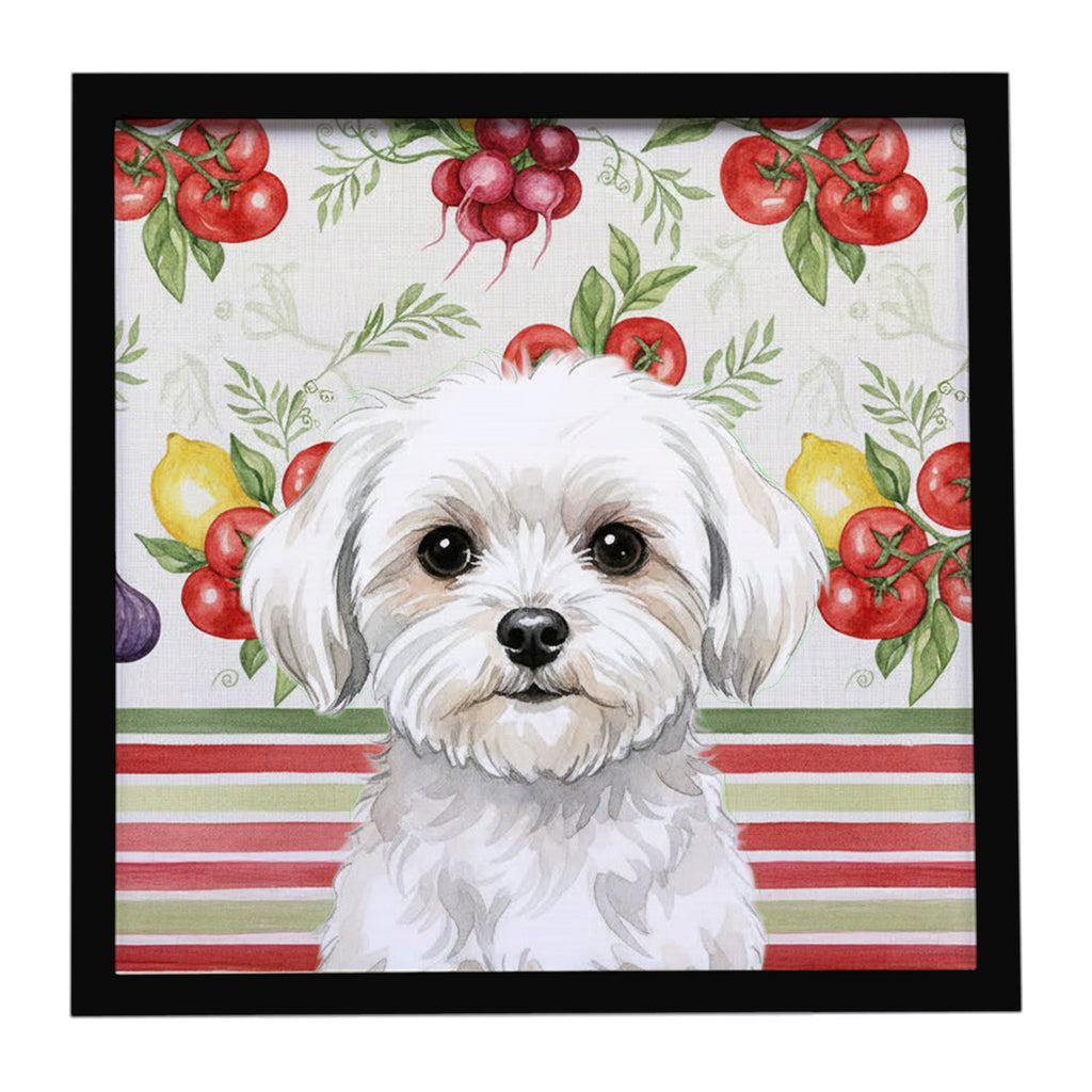 Maltese Vegetables Framed Metal Print Bathroom, Kitchen, Office, Home Decor Wall Art Ready to Hang, Square, 8X8