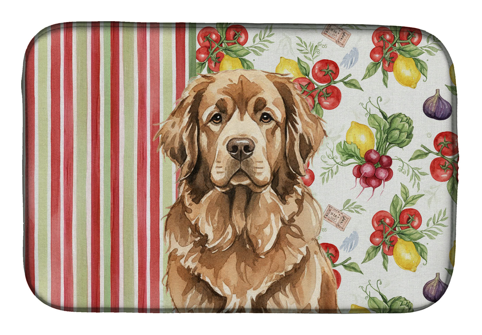 Brown Newfoundland Vegetables Dish Drying Mat Absorbent Dish Drying Mat Pad for Kitchen Counter Dish Drainer Mat for Countertop, 14 x 21", Multicolor