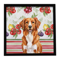 Orange Nova Scotia Duck Tolling Retriever Vegetables Framed Metal Print Bathroom, Kitchen, Office, Home Decor Wall Art Ready to Hang, Square, 8X8