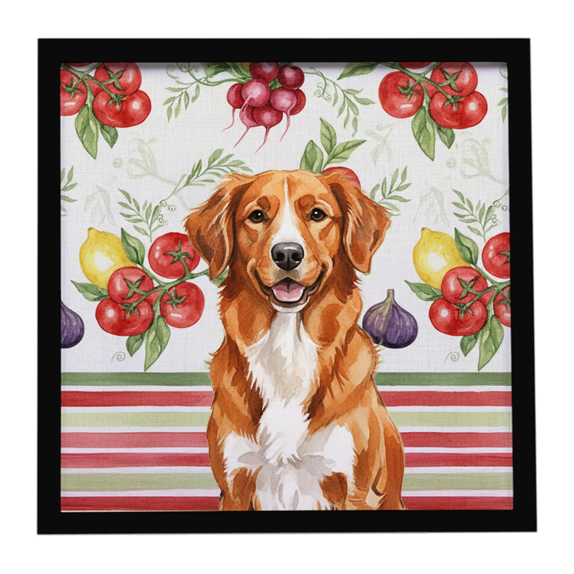 Orange Nova Scotia Duck Tolling Retriever Vegetables Framed Metal Print Bathroom, Kitchen, Office, Home Decor Wall Art Ready to Hang, Square, 8X8