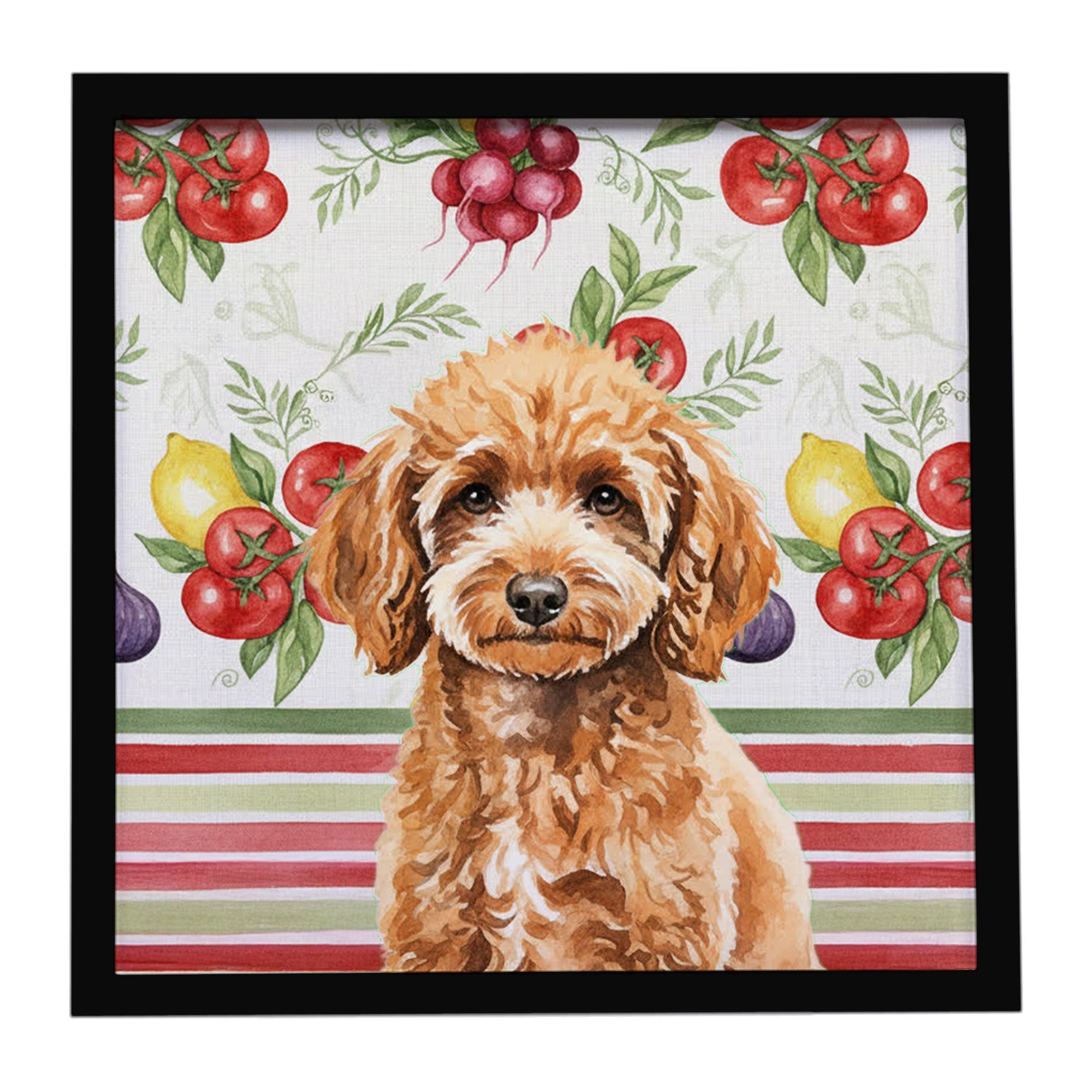 Miniature Apricot Poodle Vegetables Framed Metal Print Bathroom, Kitchen, Office, Home Decor Wall Art Ready to Hang, Square, 8X8