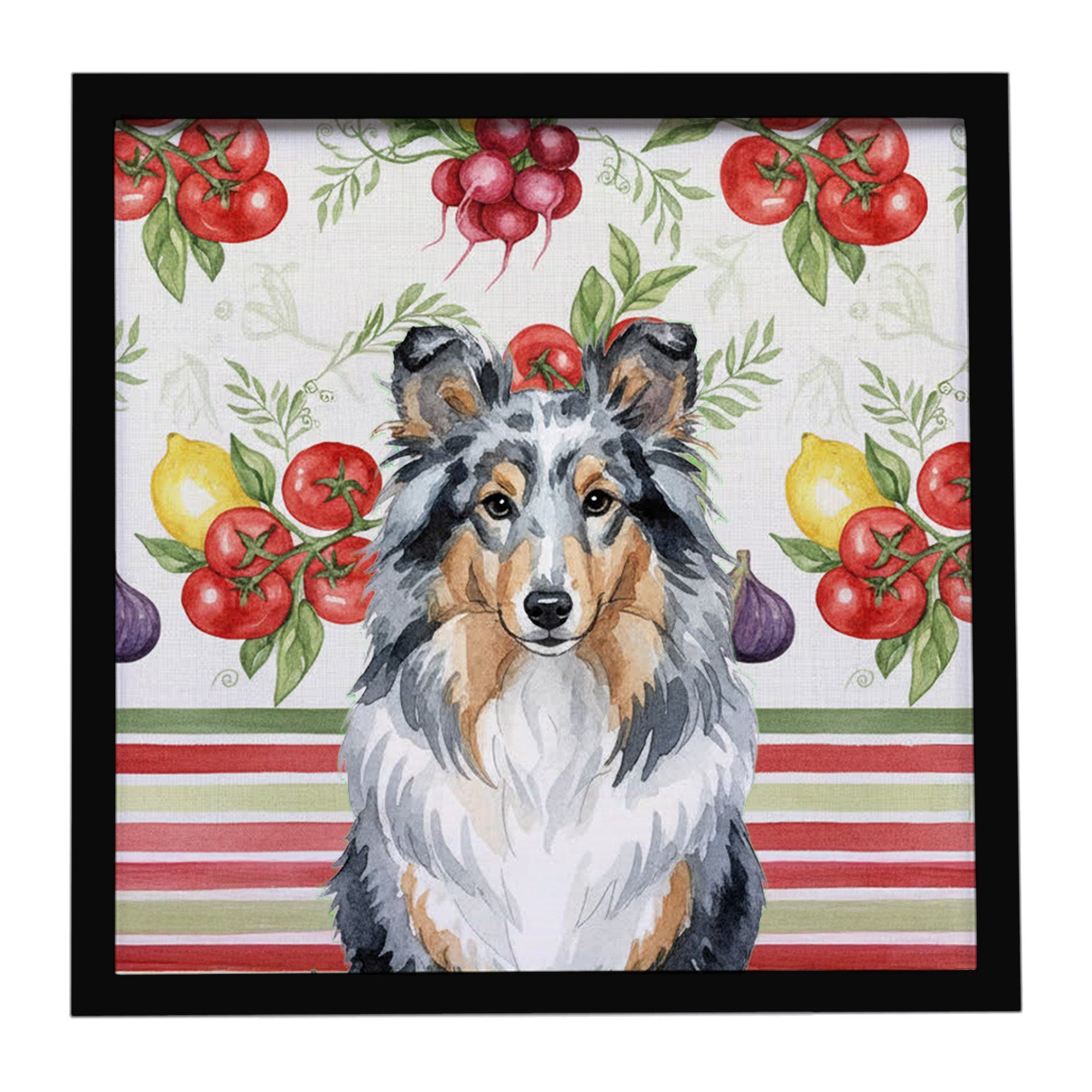 Blue Merle Sheltie Vegetables Framed Metal Print Bathroom, Kitchen, Office, Home Decor Wall Art Ready to Hang, Square, 8X8