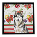 Agouti Siberian Husky Vegetables Framed Metal Print Bathroom, Kitchen, Office, Home Decor Wall Art Ready to Hang, Square, 8X8