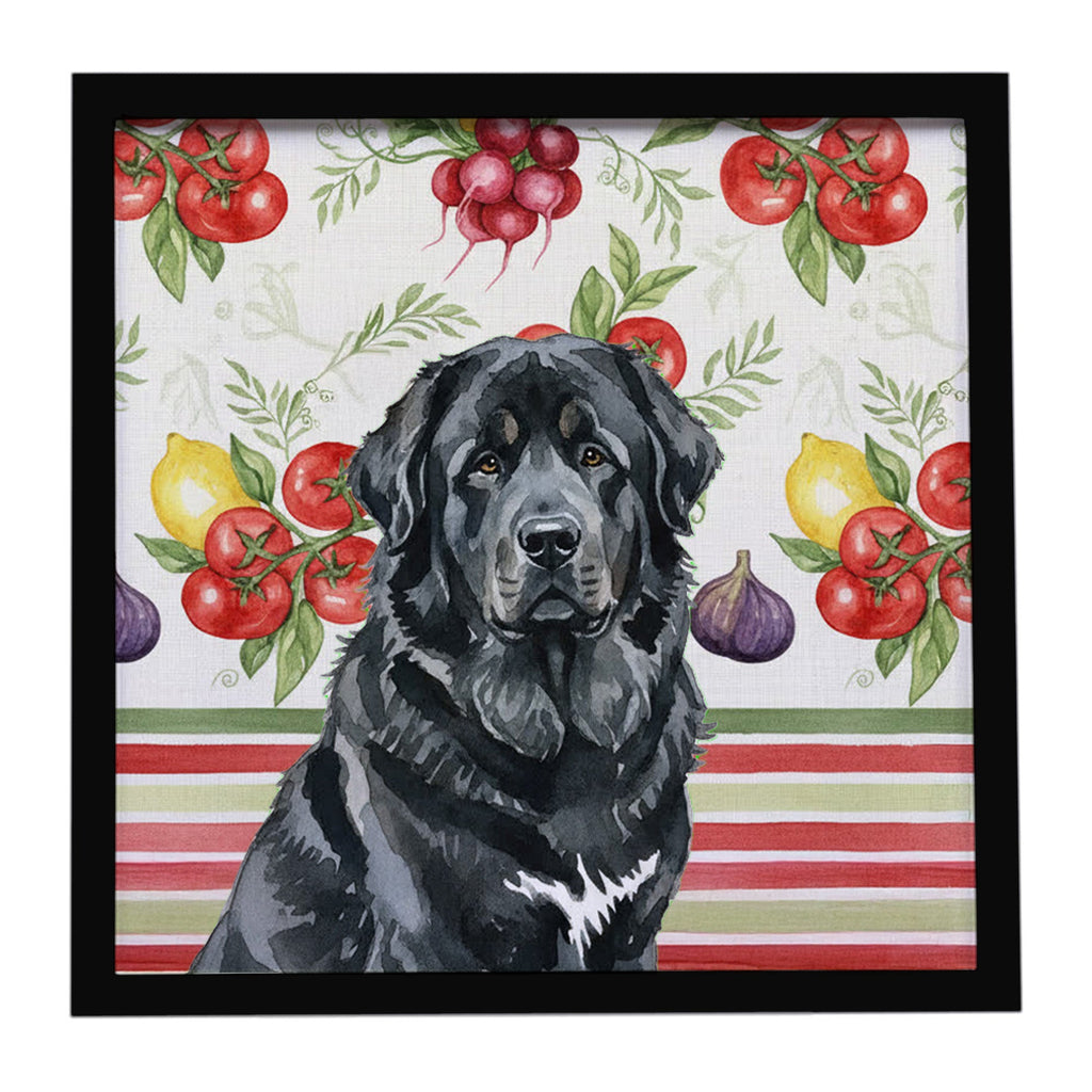 Black Tibetan Mastiff Vegetables Framed Metal Print Bathroom, Kitchen, Office, Home Decor Wall Art Ready to Hang, Square, 8X8
