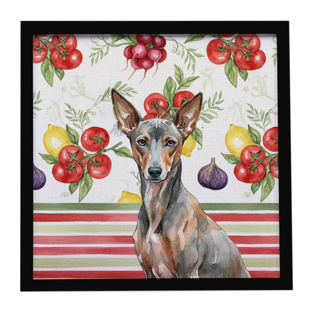Xoloitzcuintli Vegetables Framed Metal Print Bathroom, Kitchen, Office, Home Decor Wall Art Ready to Hang, Square, 8X8