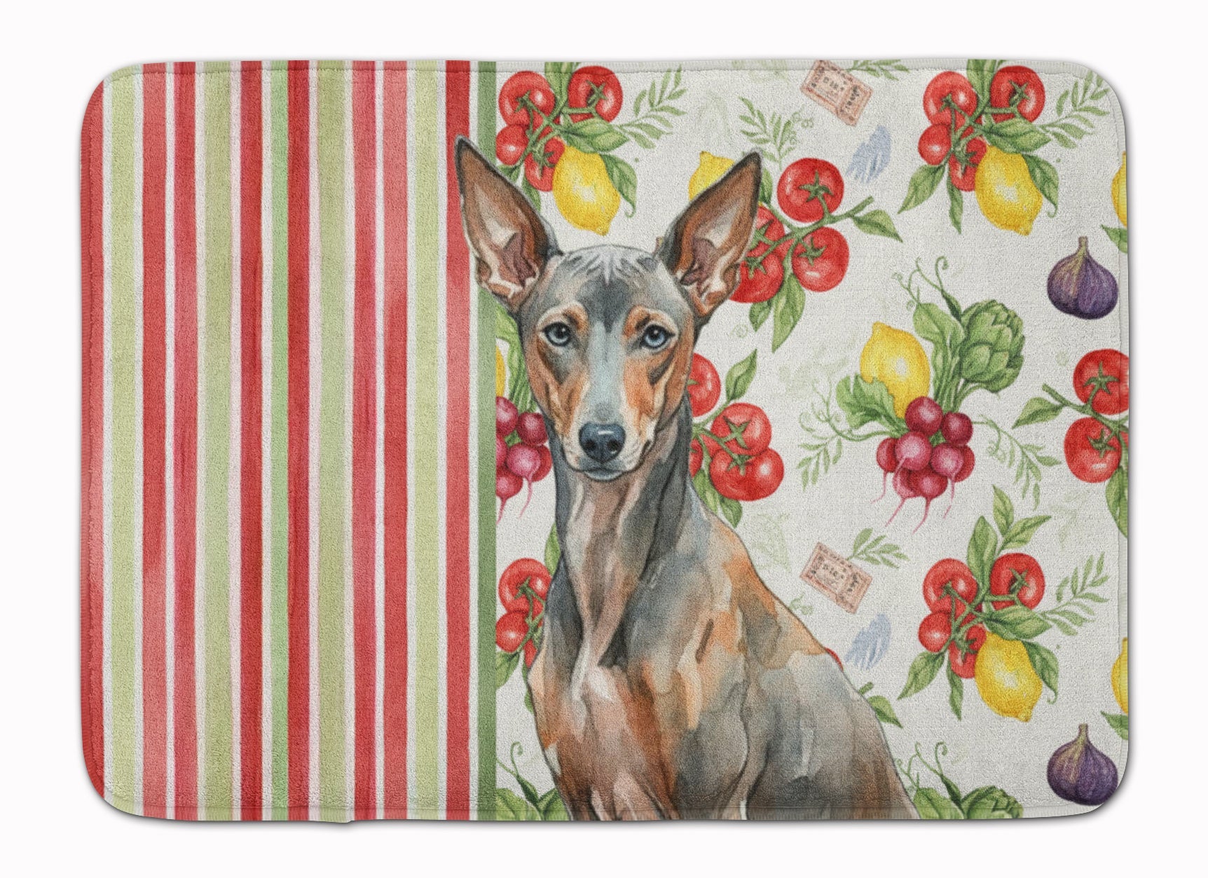 Xoloitzcuintli Vegetables Memory Foam Kitchen Mat Machine Washable Anti-Fatigue Cushion Comfort Bath or Kitchen Rug