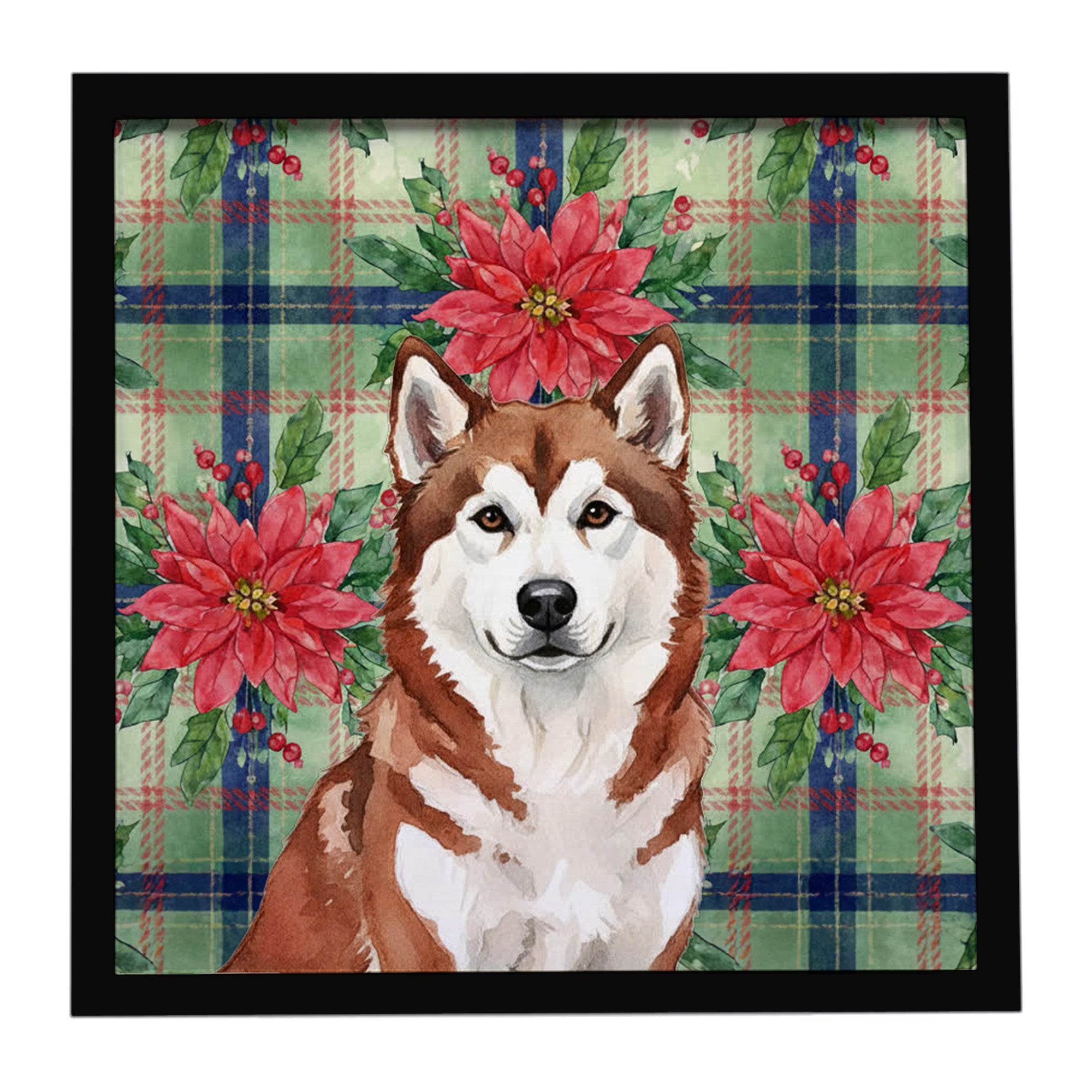 Red and White Alaskan Malamute Christmas Poinsettas Framed Metal Print Bathroom, Kitchen, Office, Home Decor Wall Art Ready to Hang, Square, 8X8