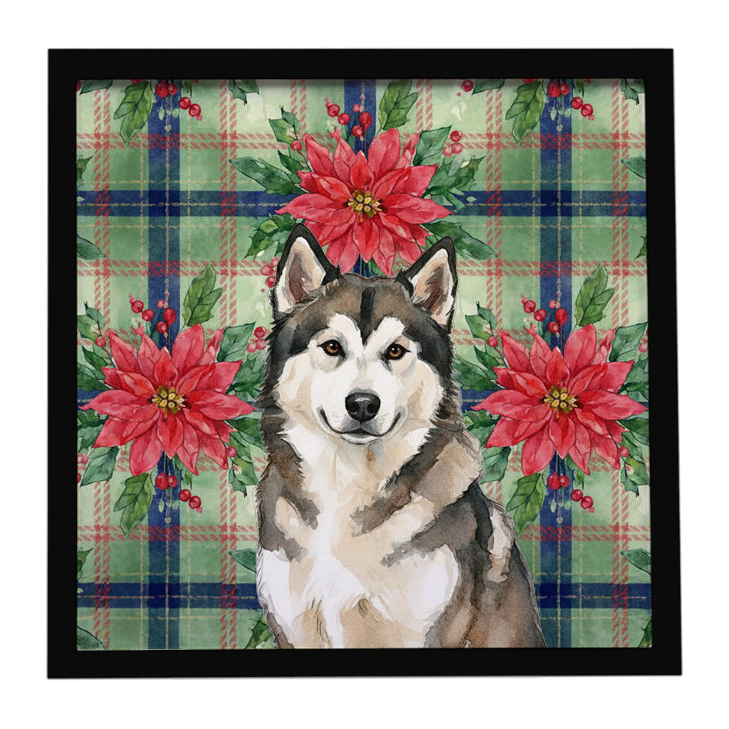 Sable and White Alaskan Malamute Christmas Poinsettas Framed Metal Print Bathroom, Kitchen, Office, Home Decor Wall Art Ready to Hang, Square, 8X8