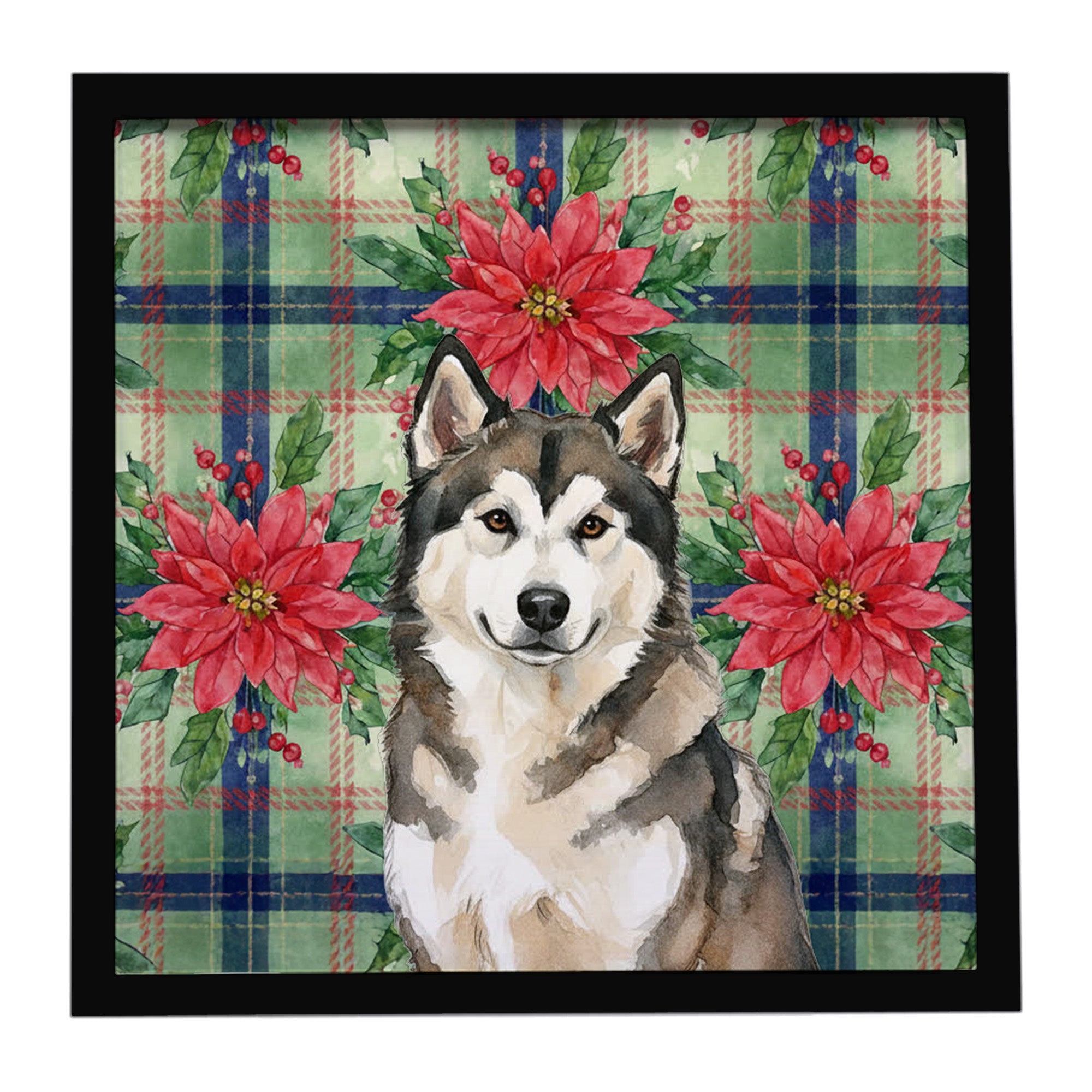 Sable and White Alaskan Malamute Christmas Poinsettas Framed Metal Print Bathroom, Kitchen, Office, Home Decor Wall Art Ready to Hang, Square, 8X8