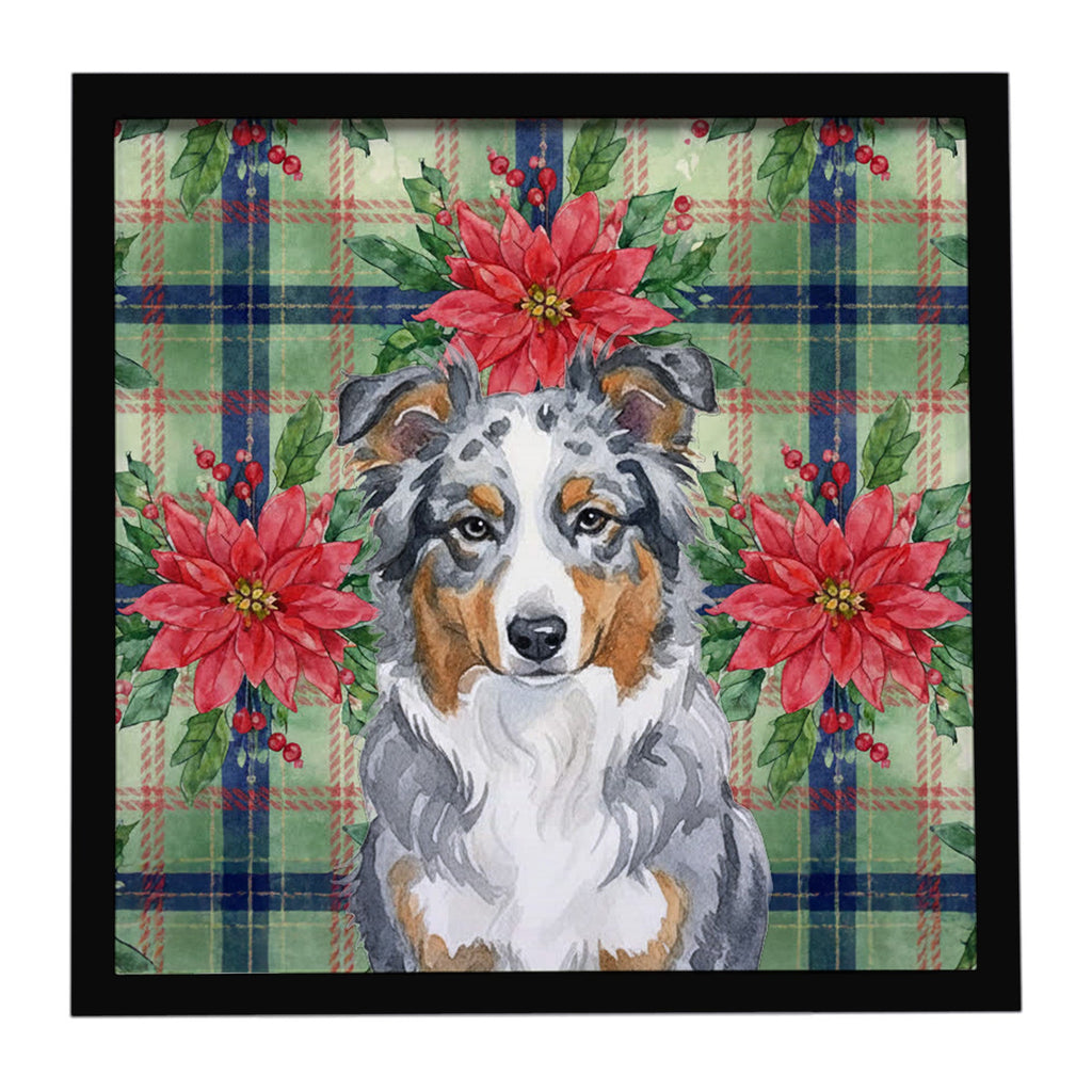 Blue Merle American Shepherd Christmas PoinsettIas Framed Metal Print Bathroom, Kitchen, Office, Home Decor Wall Art Ready to Hang, Square, 8X8