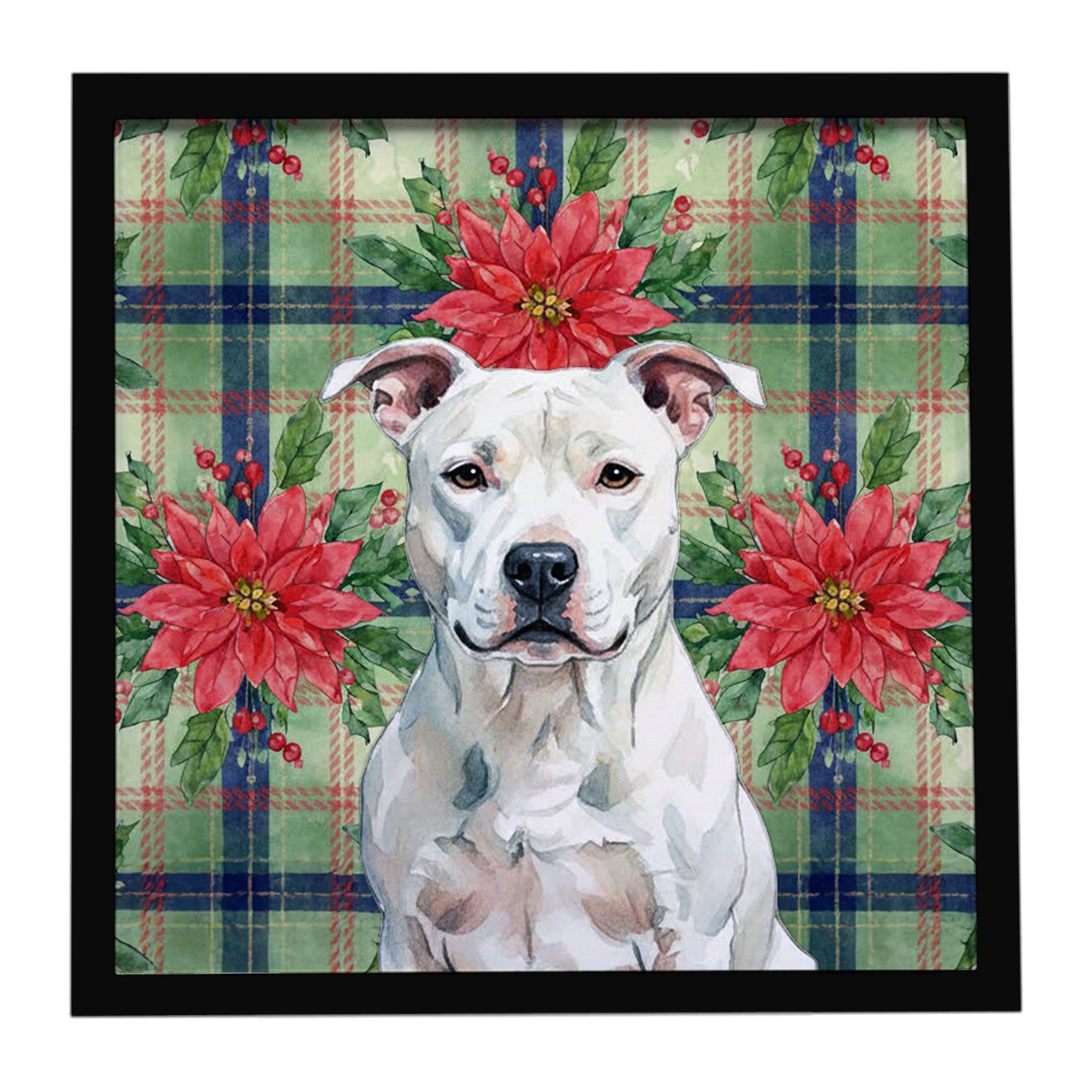 White American Staffordshire Terrier Christmas PoinsettIas Framed Metal Print Bathroom, Kitchen, Office, Home Decor Wall Art Ready to Hang, Square, 8X8