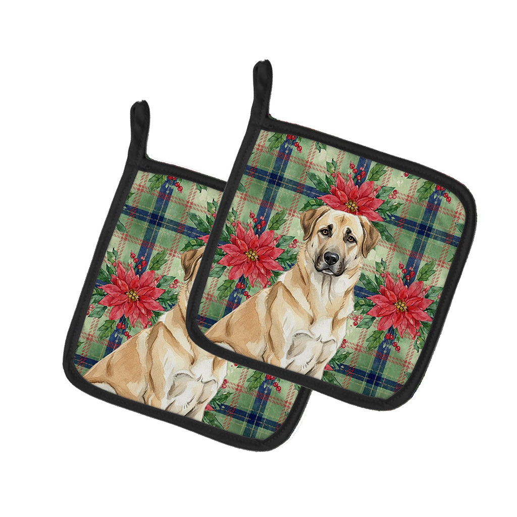 Anatolian Shepherd Dog Christmas PoinsettIas Pot Holder Set of 2 Heat Resistant Quilted Hot Pads 7.5 x 7.5 Inch, Insulated Kitchen Trivets for Cooking & Baking