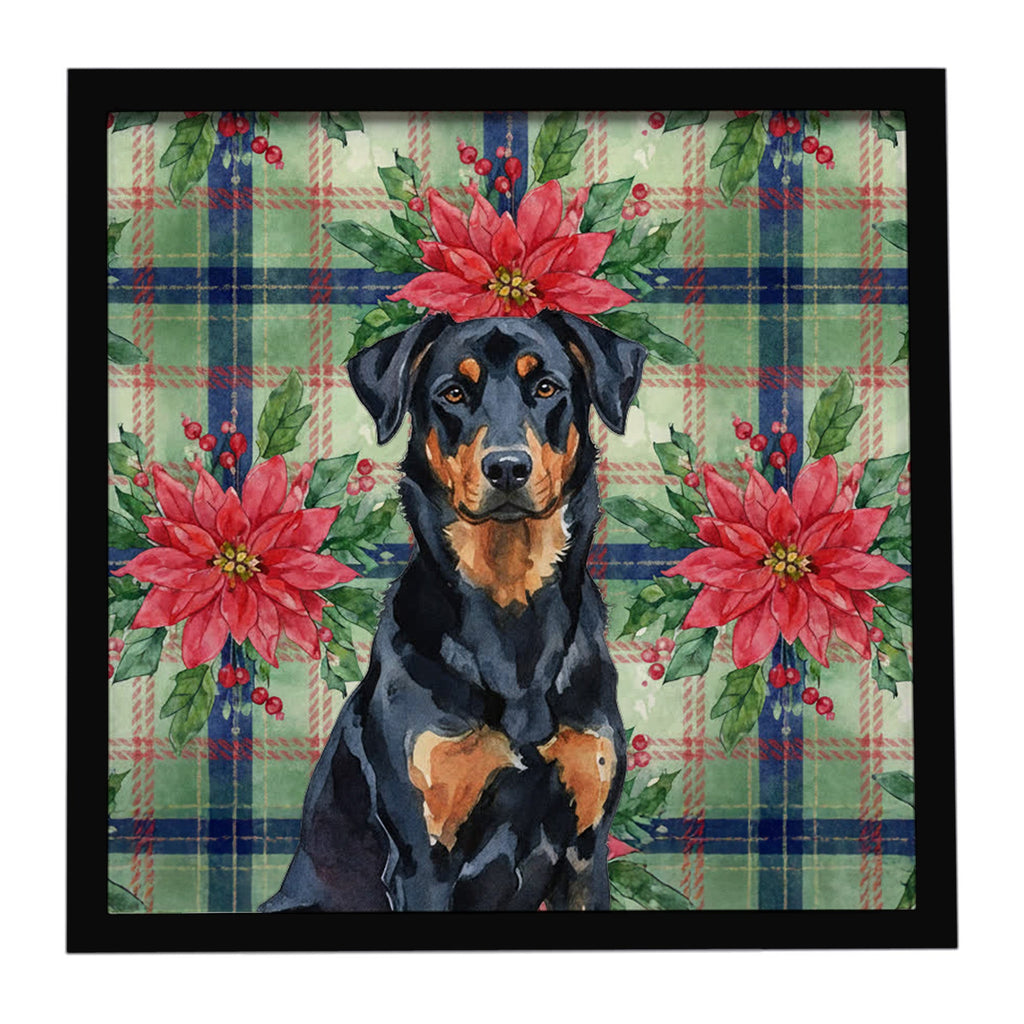 Beauceron Christmas PoinsettIas Framed Metal Print Bathroom, Kitchen, Office, Home Decor Wall Art Ready to Hang, Square, 8X8