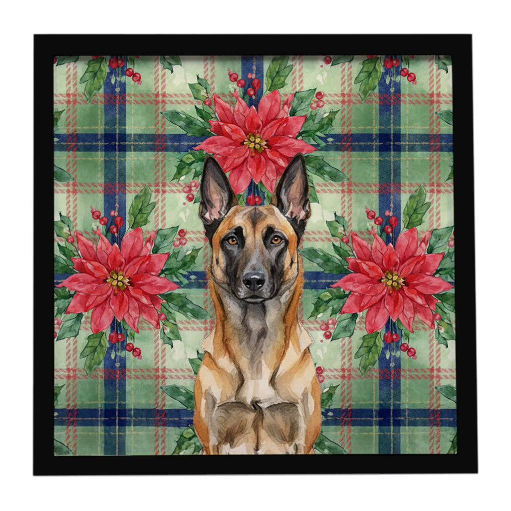 Belgian Malinois Christmas PoinsettIas Framed Metal Print Bathroom, Kitchen, Office, Home Decor Wall Art Ready to Hang, Square, 8X8