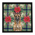 Belgian Malinois Christmas PoinsettIas Framed Metal Print Bathroom, Kitchen, Office, Home Decor Wall Art Ready to Hang, Square, 8X8