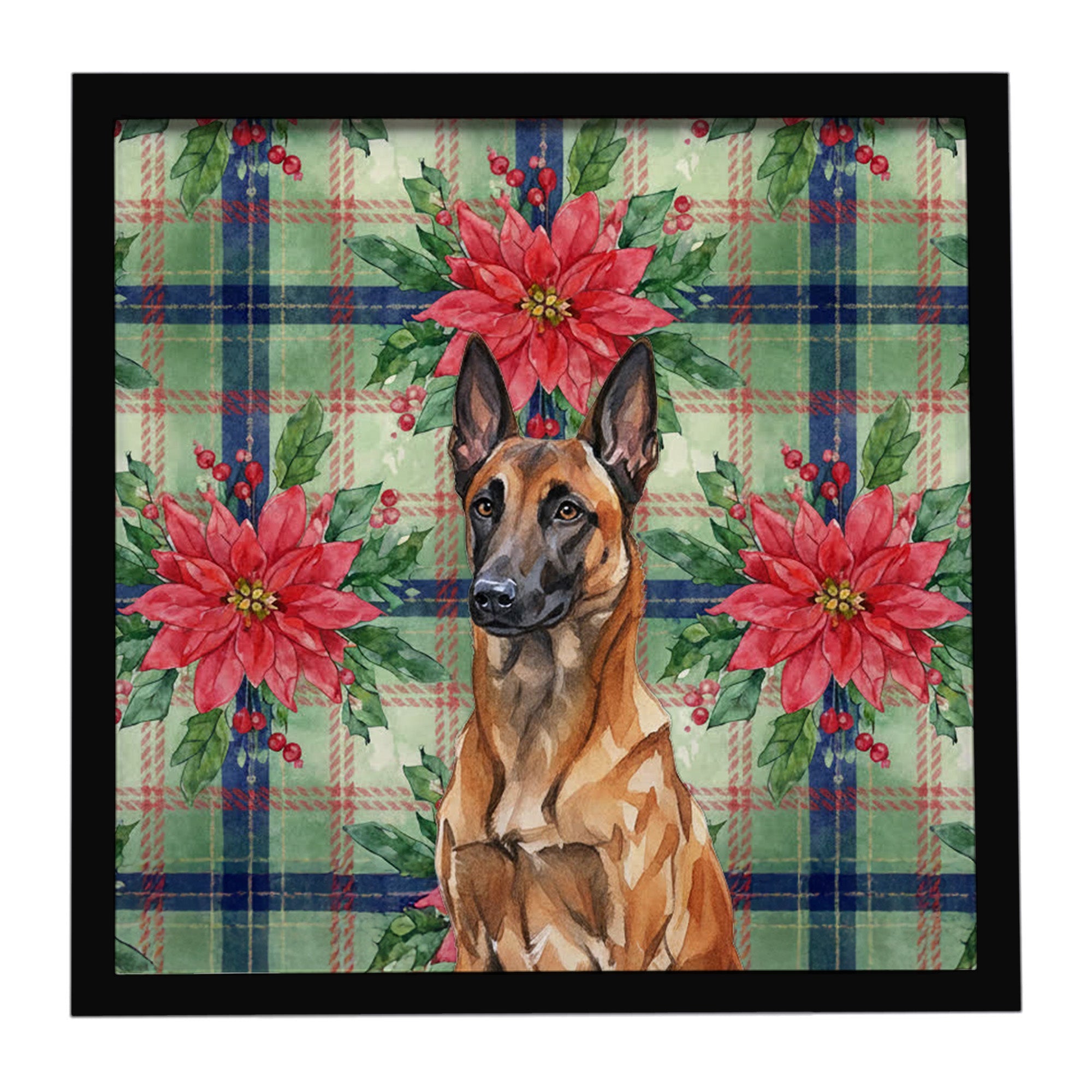 Mahogany Belgian Malinois Christmas PoinsettIas Framed Metal Print Bathroom, Kitchen, Office, Home Decor Wall Art Ready to Hang, Square, 8X8