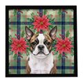 Brindle Boston Terrier Christmas PoinsettIas Framed Metal Print Bathroom, Kitchen, Office, Home Decor Wall Art Ready to Hang, Square, 8X8