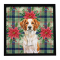 Orange and White Brittany Christmas PoinsettIas Framed Metal Print Bathroom, Kitchen, Office, Home Decor Wall Art Ready to Hang, Square, 8X8