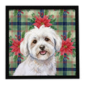 Coton de Tulear Christmas PoinsettIas Framed Metal Print Bathroom, Kitchen, Office, Home Decor Wall Art Ready to Hang, Square, 8X8