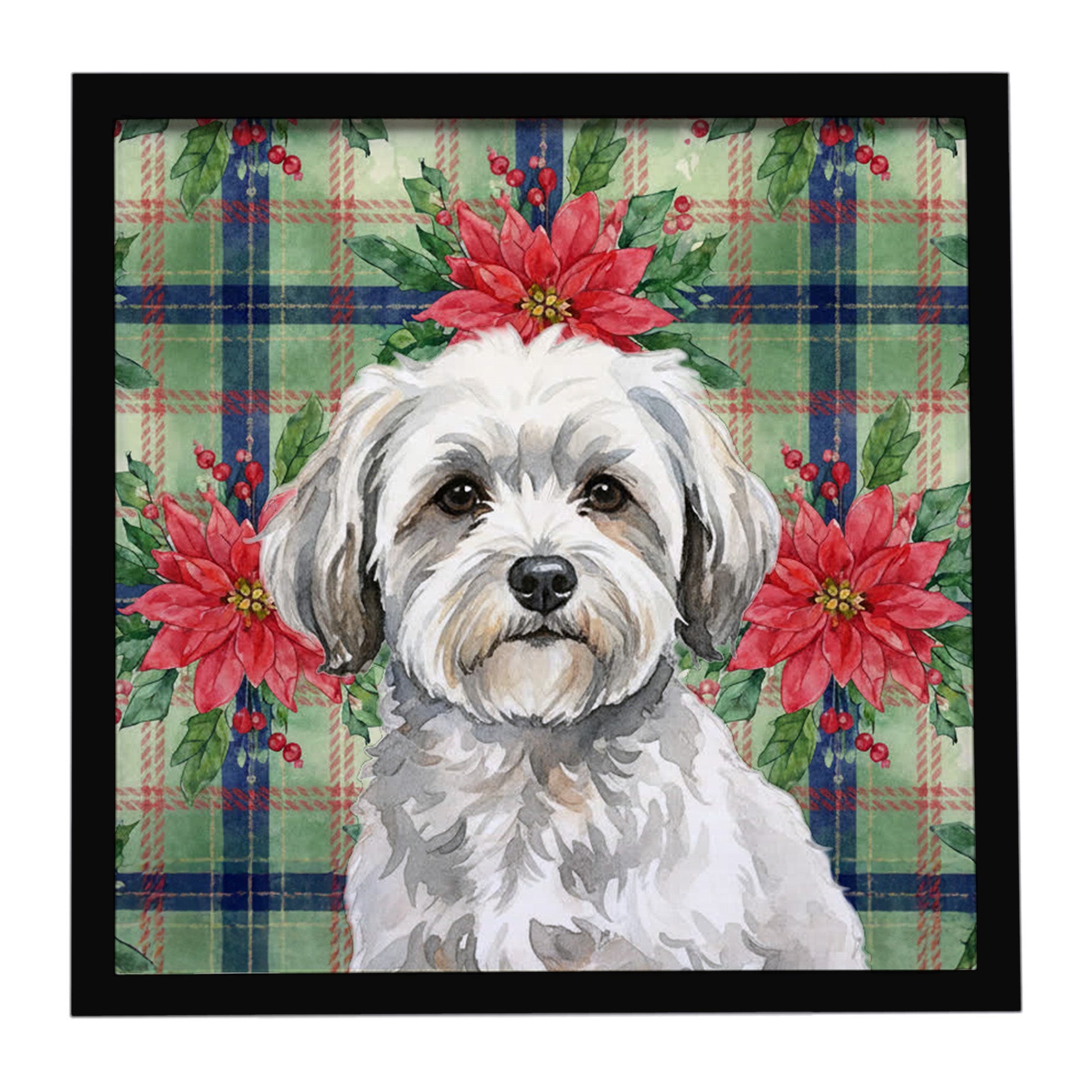White with Gray Coton de Tulear Christmas PoinsettIas Framed Metal Print Bathroom, Kitchen, Office, Home Decor Wall Art Ready to Hang, Square, 8X8