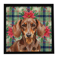 Chocolate and Tan Dachshund Christmas PoinsettIas Framed Metal Print Bathroom, Kitchen, Office, Home Decor Wall Art Ready to Hang, Square, 8X8