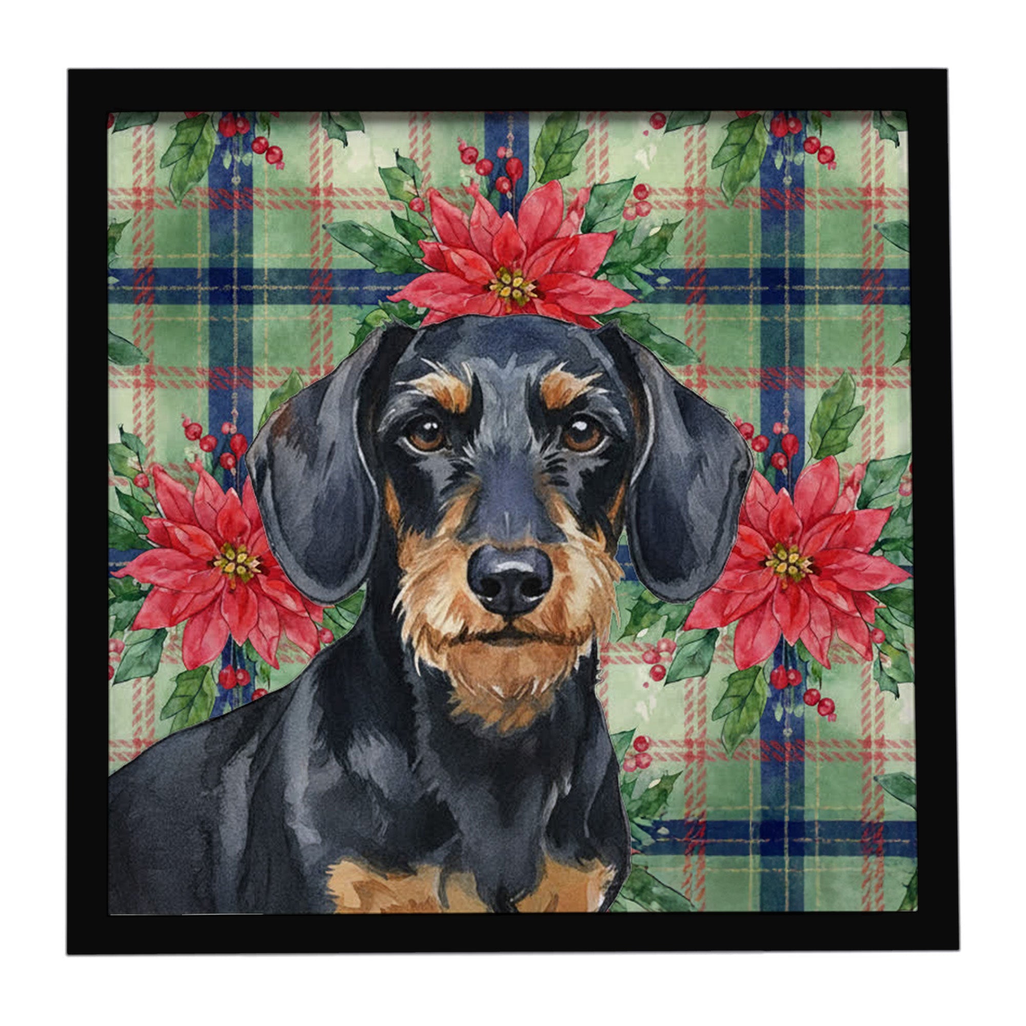 Wirehaired Black and Tan Dachshund Christmas PoinsettIas Framed Metal Print Bathroom, Kitchen, Office, Home Decor Wall Art Ready to Hang, Square, 8X8