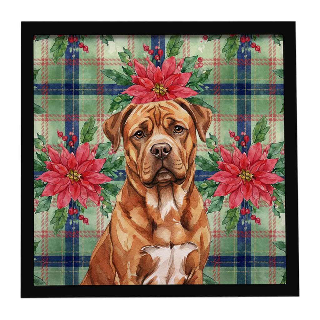 Mahogany Dogue de Bordeaux Christmas PoinsettIas Framed Metal Print Bathroom, Kitchen, Office, Home Decor Wall Art Ready to Hang, Square, 8X8