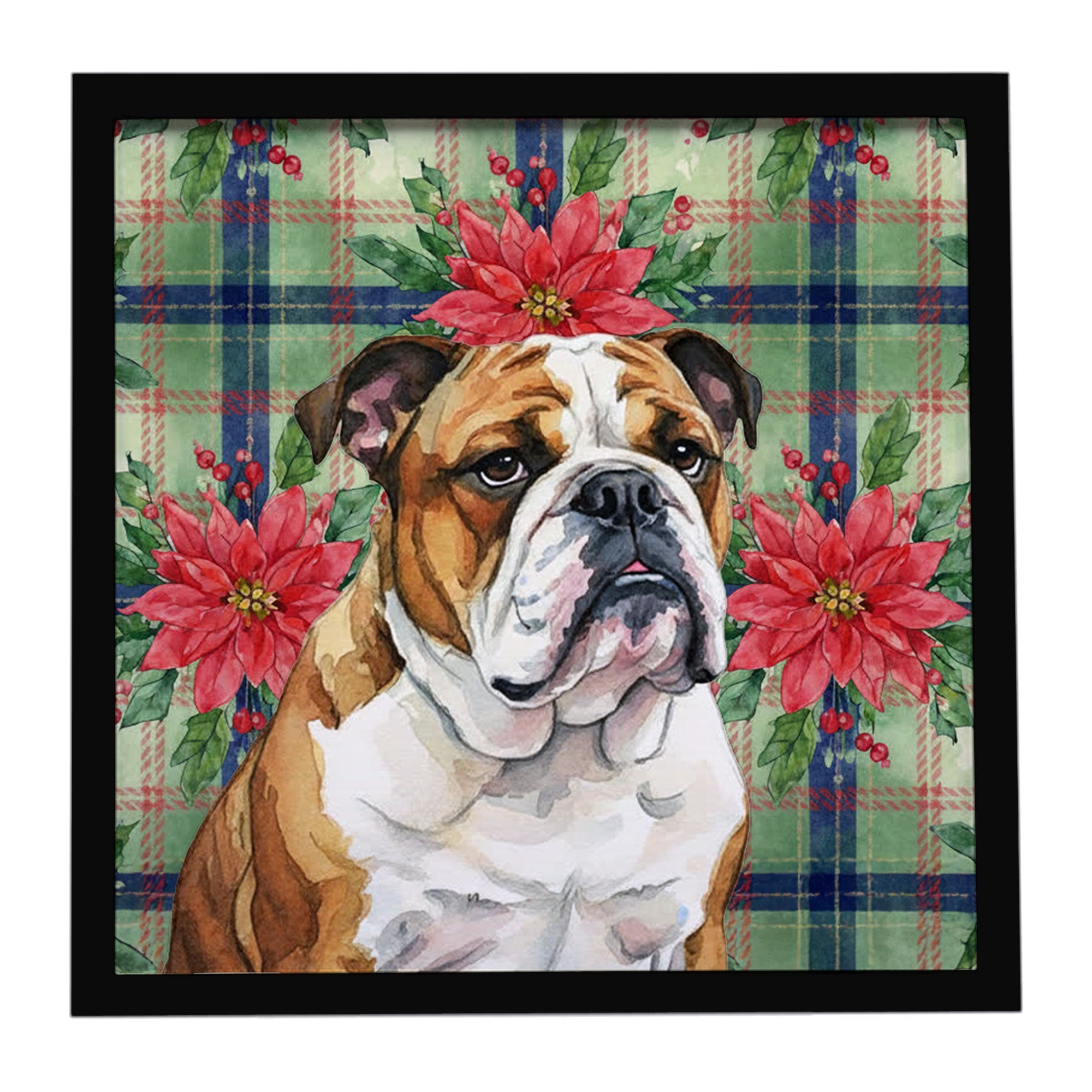 Brindle and White English Bulldog Christmas PoinsettIas Framed Metal Print Bathroom, Kitchen, Office, Home Decor Wall Art Ready to Hang, Square, 8X8