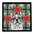 Pied French Bulldog Christmas PoinsettIas Framed Metal Print Bathroom, Kitchen, Office, Home Decor Wall Art Ready to Hang, Square, 8X8