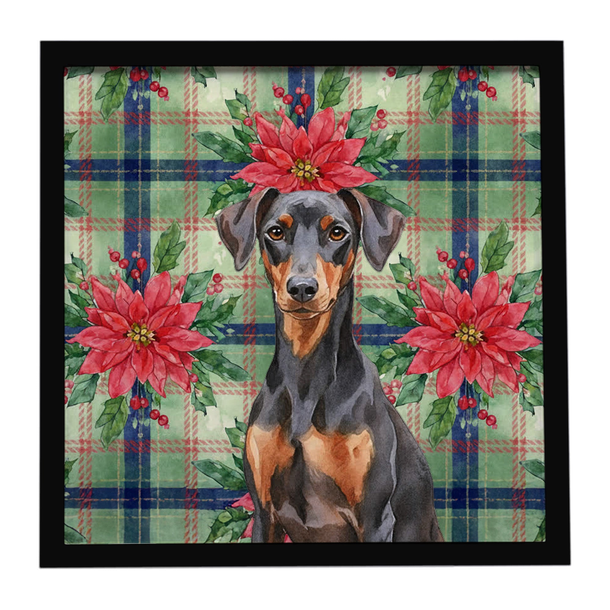 German Pinscher Christmas PoinsettIas Framed Metal Print Bathroom, Kitchen, Office, Home Decor Wall Art Ready to Hang, Square, 8X8