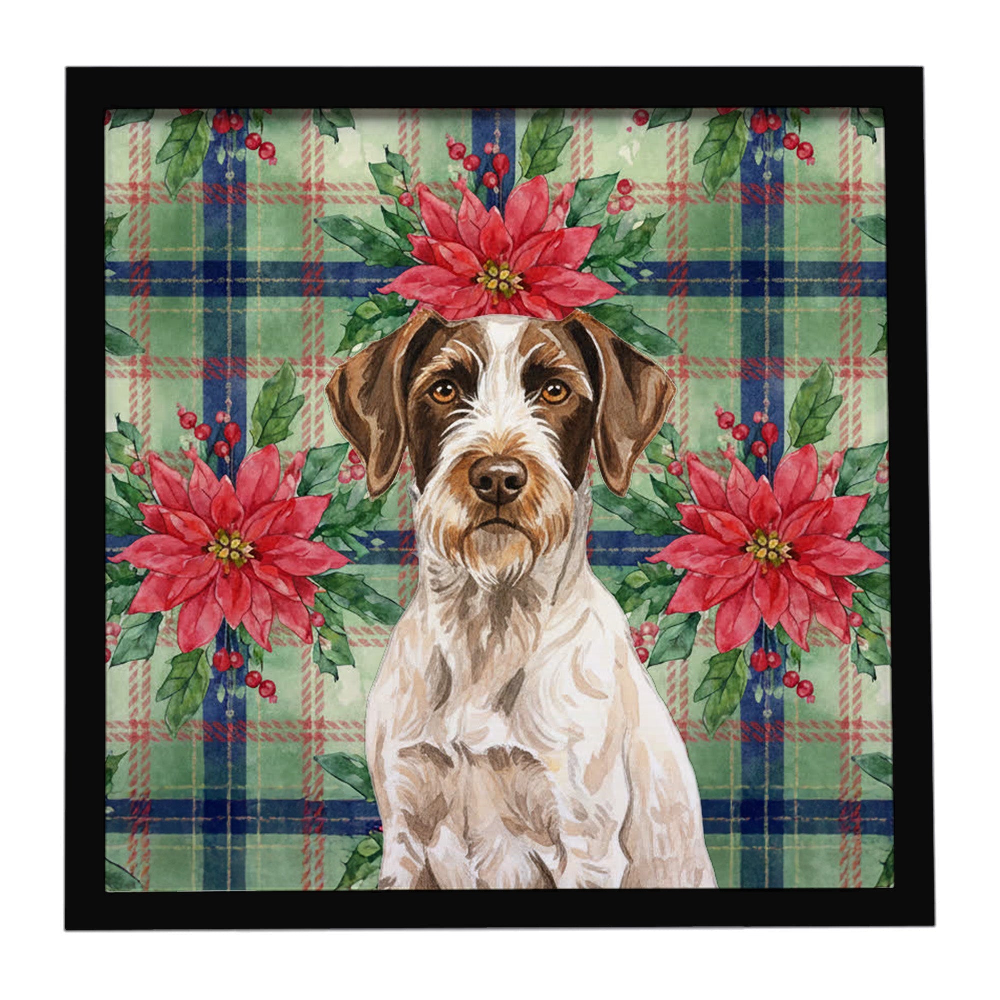 Liver and White German Wirehaired Pointer Christmas PoinsettIas Framed Metal Print Bathroom, Kitchen, Office, Home Decor Wall Art Ready to Hang, Square, 8X8