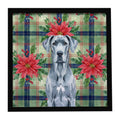 Blue Great Dane Christmas PoinsettIas Framed Metal Print Bathroom, Kitchen, Office, Home Decor Wall Art Ready to Hang, Square, 8X8