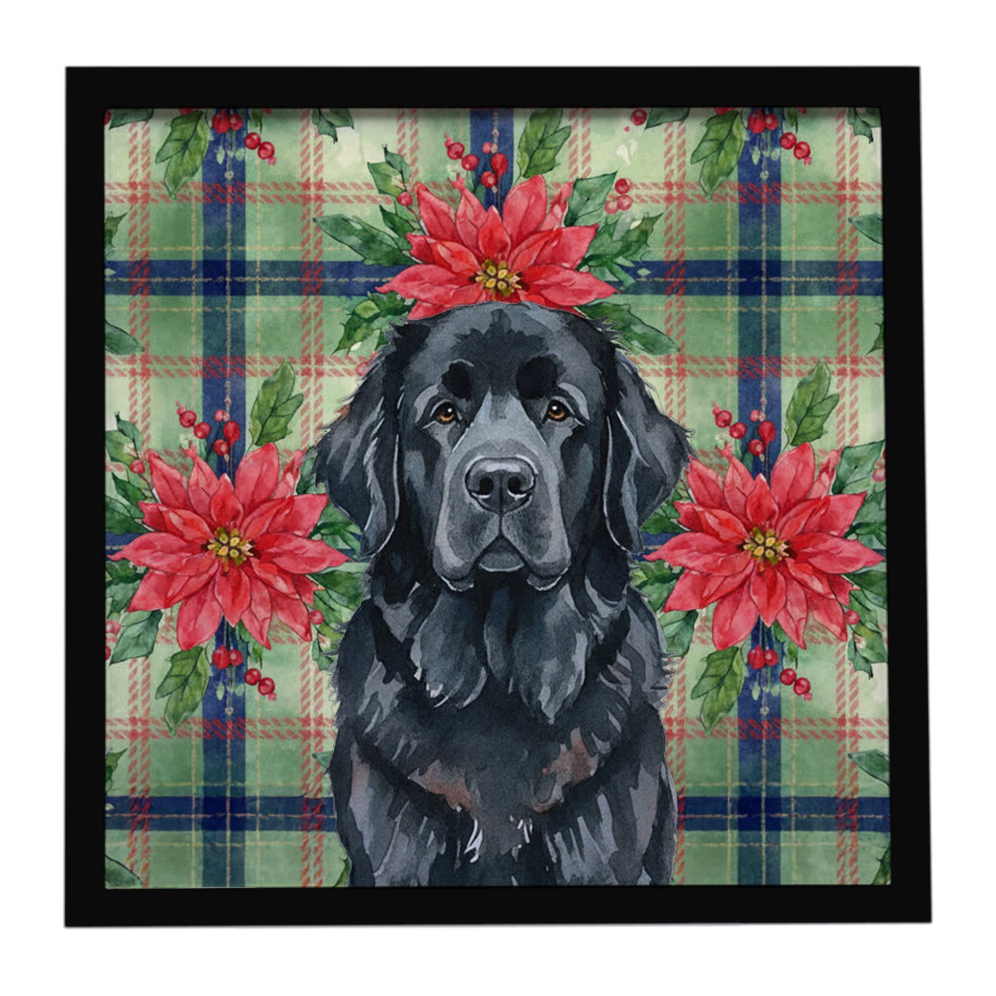 Black Newfoundland Christmas PoinsettIas Framed Metal Print Bathroom, Kitchen, Office, Home Decor Wall Art Ready to Hang, Square, 8X8