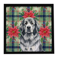 Gray Newfoundland Christmas PoinsettIas Framed Metal Print Bathroom, Kitchen, Office, Home Decor Wall Art Ready to Hang, Square, 8X8