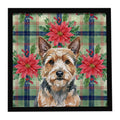Norwich Terrier Christmas PoinsettIas Framed Metal Print Bathroom, Kitchen, Office, Home Decor Wall Art Ready to Hang, Square, 8X8