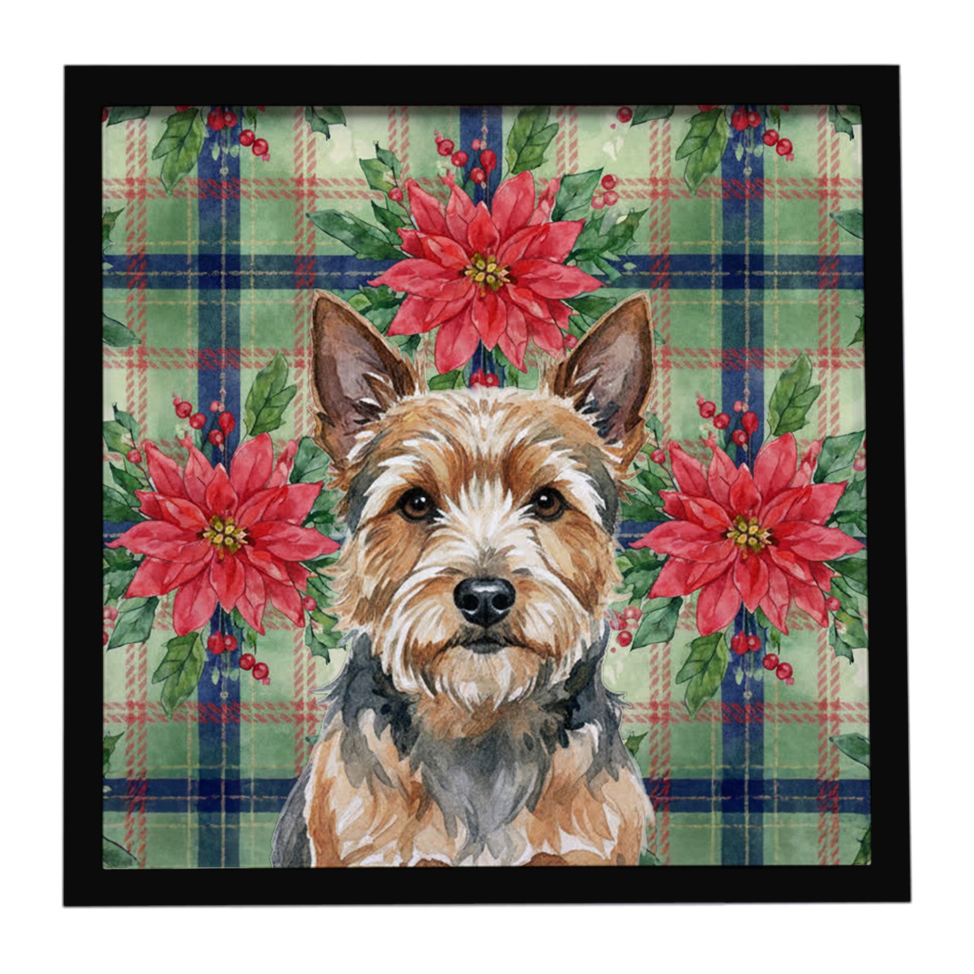 Norwich Terrier Christmas PoinsettIas Framed Metal Print Bathroom, Kitchen, Office, Home Decor Wall Art Ready to Hang, Square, 8X8