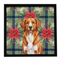 Orange Nova Scotia Duck Tolling Retriever Christmas PoinsettIas Framed Metal Print Bathroom, Kitchen, Office, Home Decor Wall Art Ready to Hang, Square, 8X8