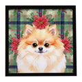 Pomeranian Christmas PoinsettIas Framed Metal Print Bathroom, Kitchen, Office, Home Decor Wall Art Ready to Hang, Square, 8X8