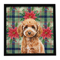 Miniature Apricot Poodle Christmas PoinsettIas Framed Metal Print Bathroom, Kitchen, Office, Home Decor Wall Art Ready to Hang, Square, 8X8
