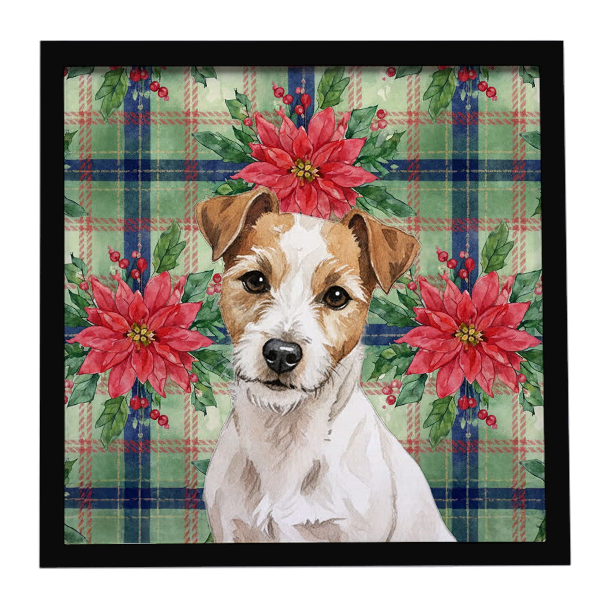 Christmas White with Tan Markings Russell Terrier Christmas PoinsettIas 8x8