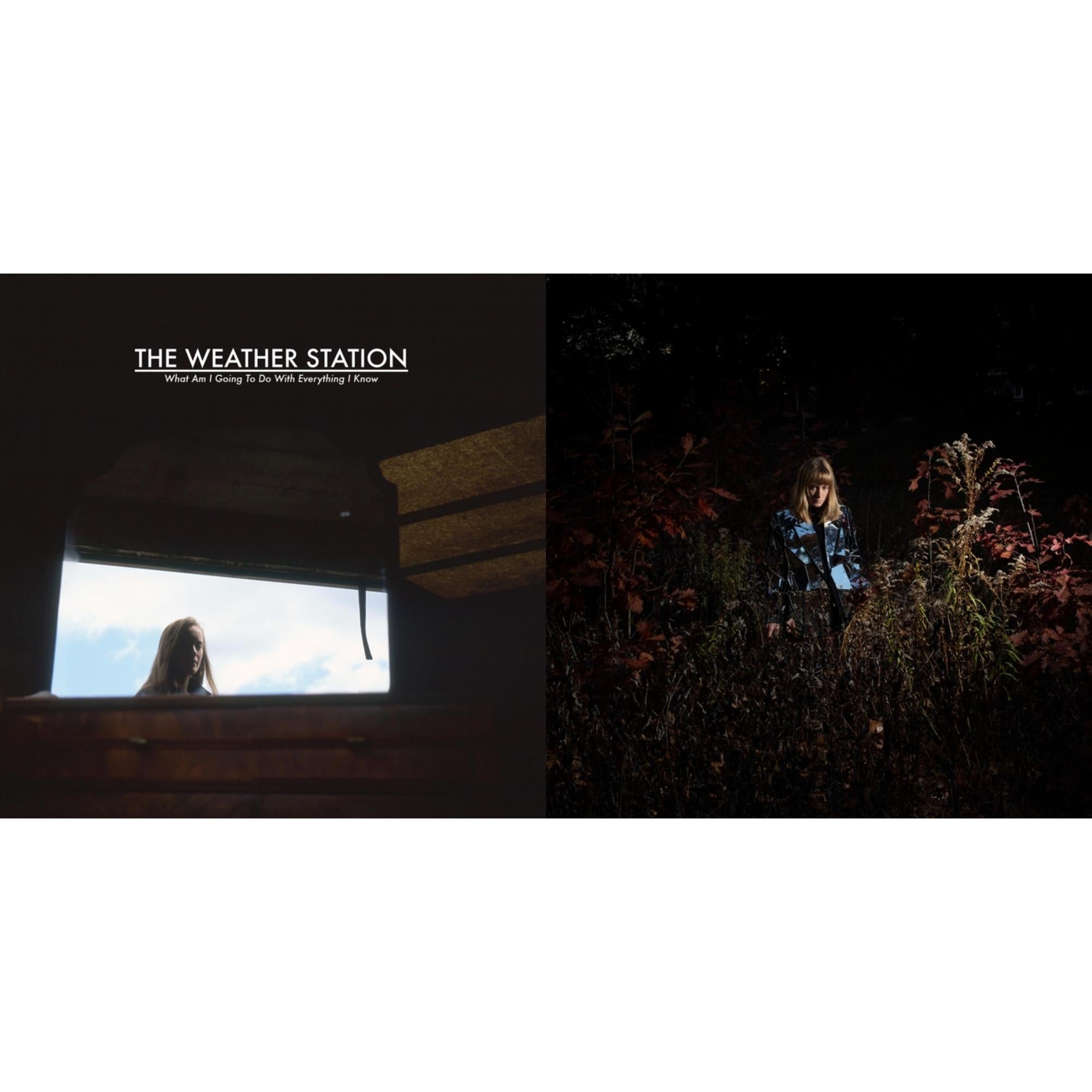 What Am I Going To Do With Everything I Know & Ignorance (Deluxe/Metallic Silver Vinyl/2LP)