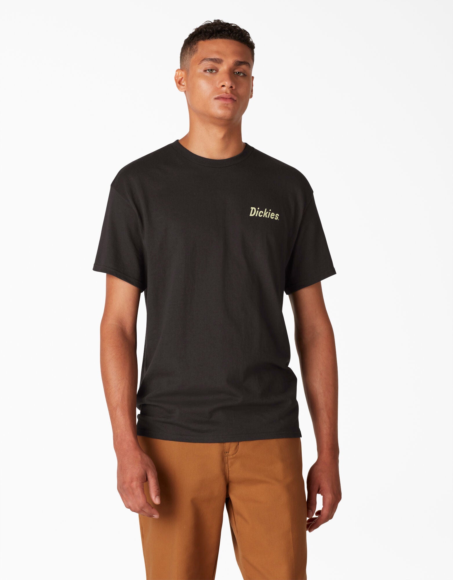 Dickies Skateboarding Split Graphic T-Shirt - Black (BK)
