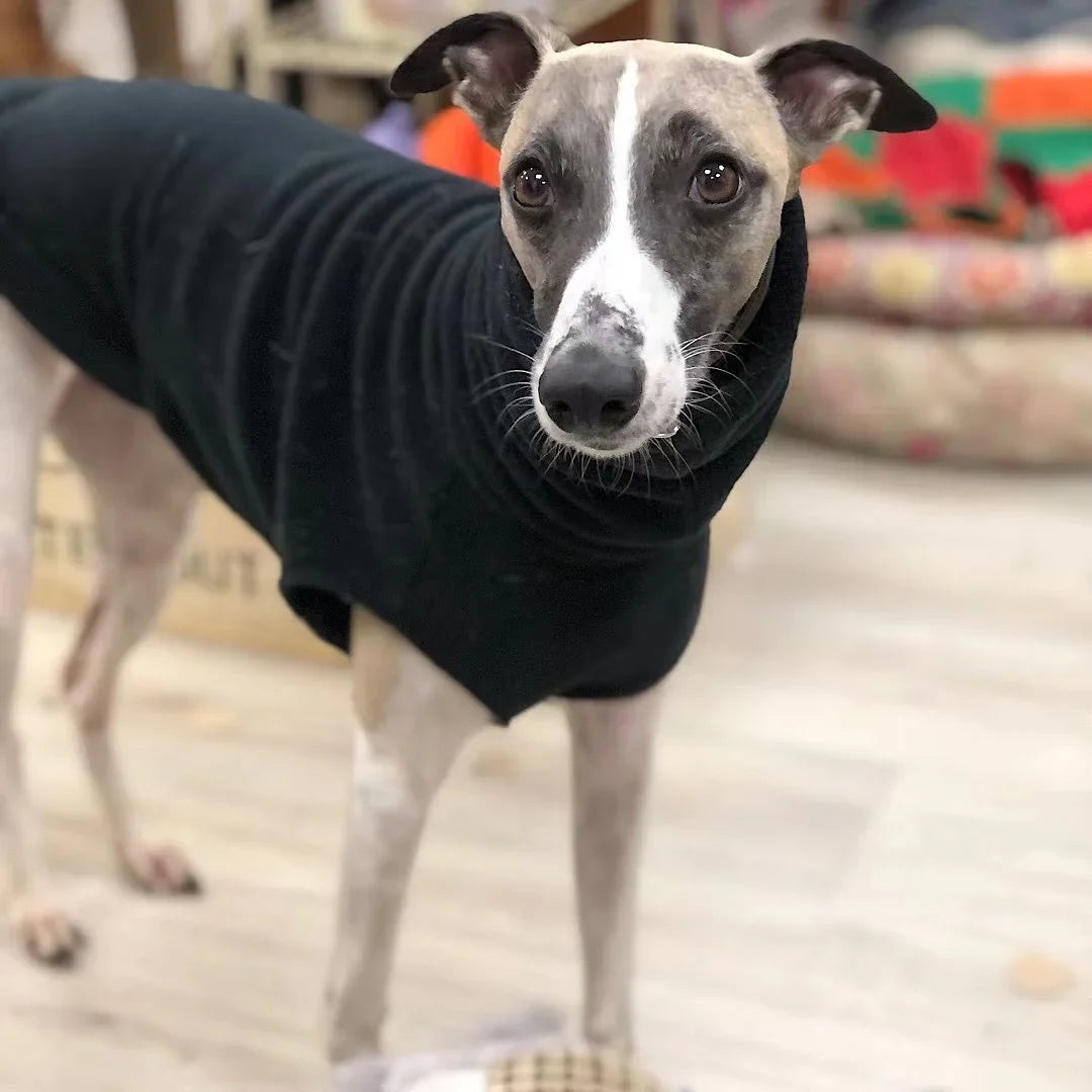Winter Fleece Whippet Vest – Italian Greyhound Turtleneck Dog Clothes