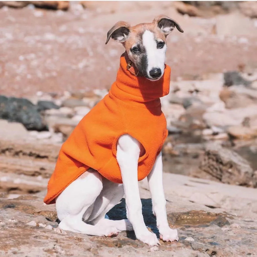 Winter Fleece Whippet Vest – Italian Greyhound Turtleneck Dog Clothes