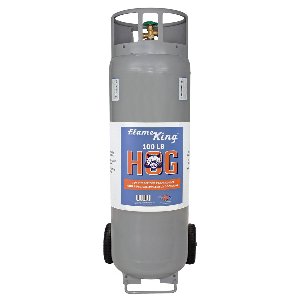 Flame King 100lb Empty Horizontal & Vertical Propane Cylinder with POL & Wheels