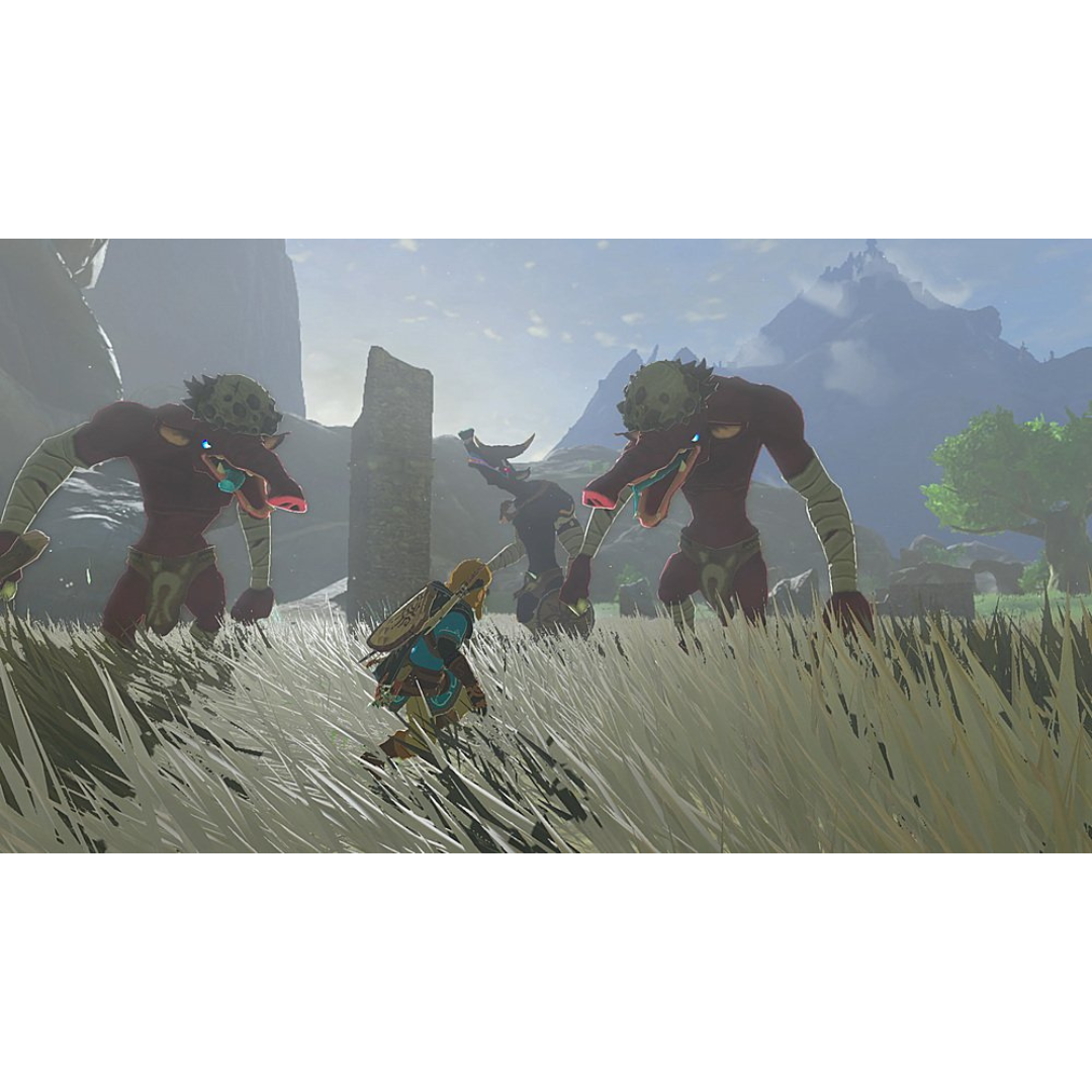 The Legend of Zelda - Tears of the Kingdom Collector's Edition - Nintendo Switch